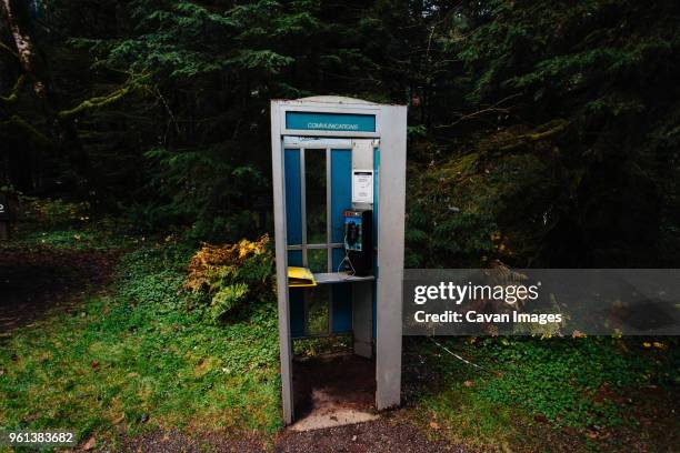 telephone booth in forest - telefonzelle stock-fotos und bilder