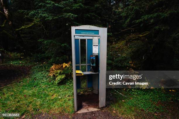 telephone booth in forest - telephone box stock pictures, royalty-free photos & images