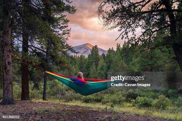 woman resting in hammock at forest - hammock camping stock pictures, royalty-free photos & images