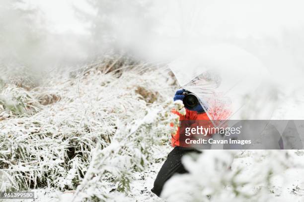 boy with umbrella photographing in forest during winter - boy taking picture in forest stock pictures, royalty-free photos & images
