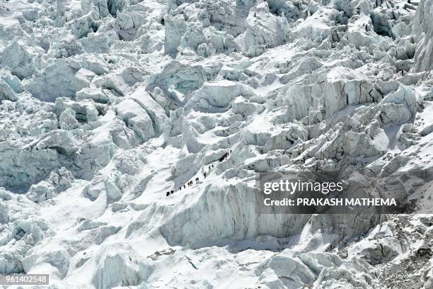 In this photograph taken on April 24 climbers cross the Khumbu icefall of Mount Everest , as seen from the Everest base camp, some 140 km northeast...