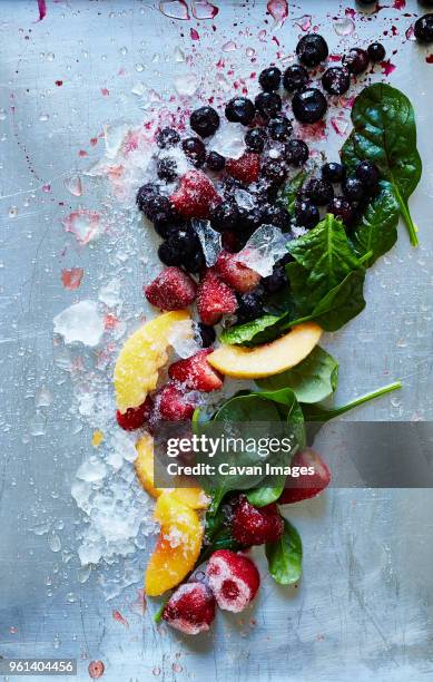 overhead view of food in ice - gefrierkost stock-fotos und bilder