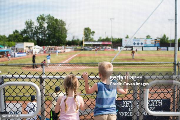 rear view of siblings watching baseball match through fence at stadium - baseball kid stock pictures, royalty-free photos & images