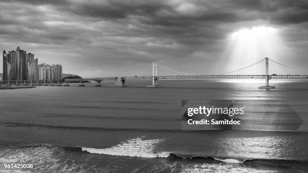 gwangan bridge and marine city in busan, south korea. - busan stock pictures, royalty-free photos & images