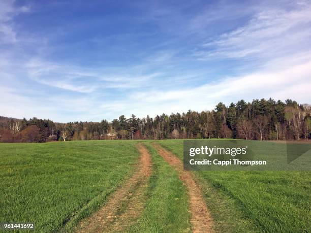 grass and dirt road through farm field in milan, new hampshire usa 2018 - cappi thompson 個照片及圖片檔