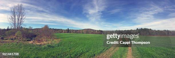 pathway through field in milan, new hampshire usa during may 2018 - cappi thompson 個照片及圖片檔