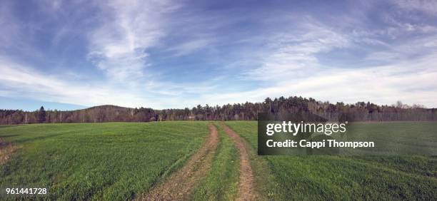 pathway through farmland in milan, new hampshire usa during may 2018 - cappi thompson 個照片及圖片檔