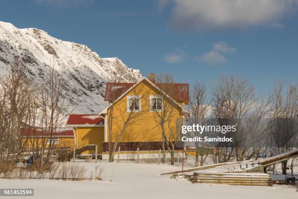 snow covered craggy shore dotted with red rorbuer-wooden traditional fishing huts now for tourist use in the vika area to the s.of nusfjord fishing village. flakstadoya-lofoten-nordland fylke-norway. - fylke bildbanksfoton och bilder