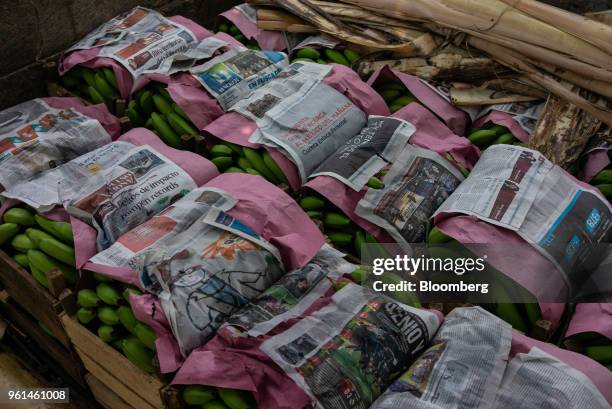 Freshly harvested bananas sit in bins at a farm in the town of Tenexpa, Guerrero state, Mexico, on Wednesday, April 25, 2018. The National Institute...