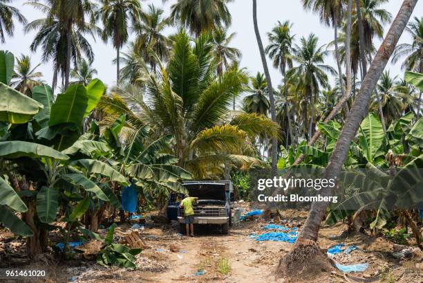 Worker tends to his vehicle during a harvest at a banana farm in the town of Tenexpa, Guerrero state, Mexico, on Wednesday, April 25, 2018. The...