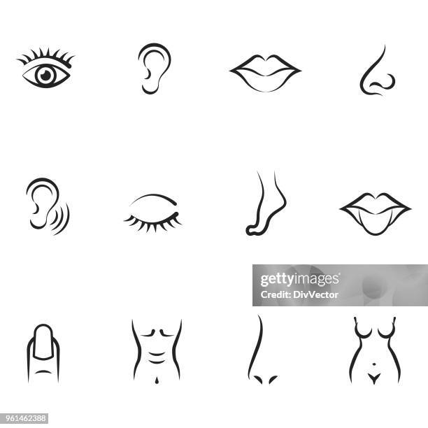 1,415 Cartoon Nose Photos and Premium High Res Pictures - Getty Images 1,415 Cartoon Nose Photos and Premium High Res Pictures - Getty Images