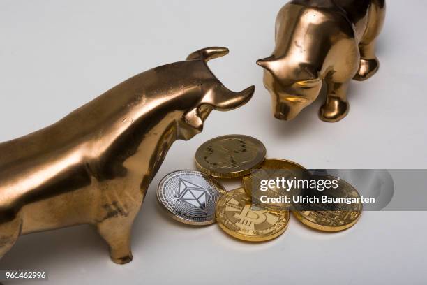 Symbol photo on the topics cryptocurrency, Ethereum, currency speculation, power consumption, etc. The picture shows bull and bear with Ethereum,...