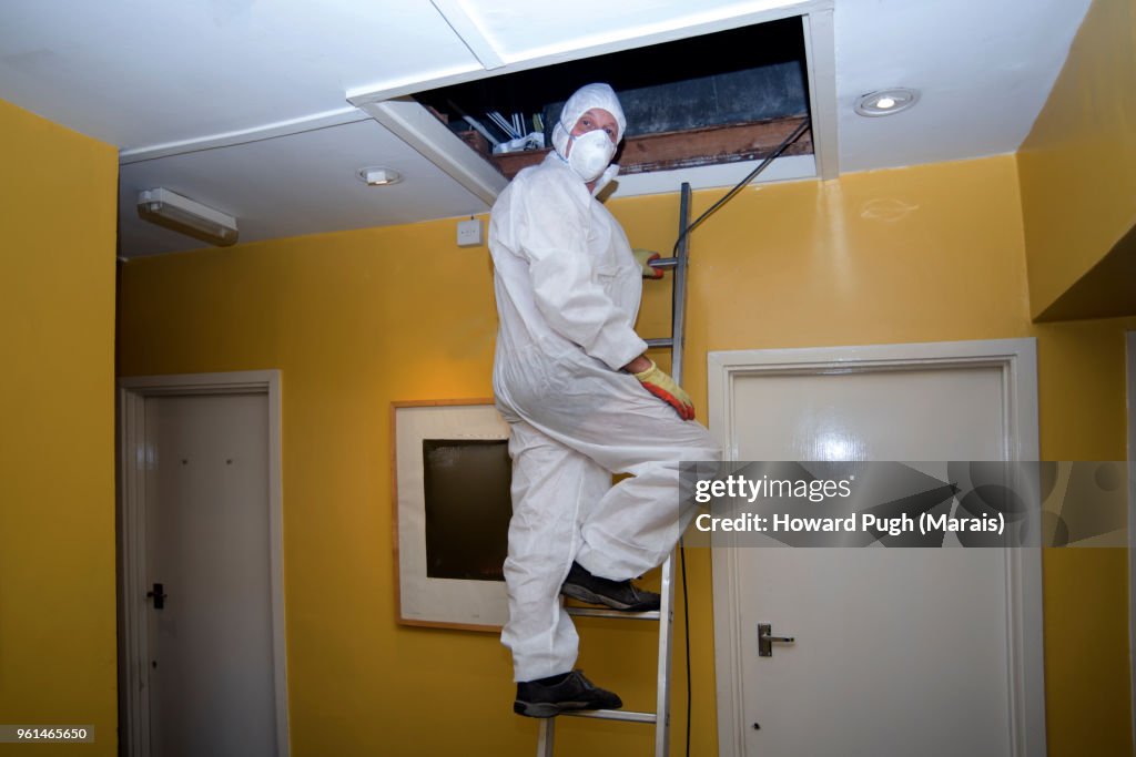 Twins: Changing A Light Bulb or Solving a Crime?