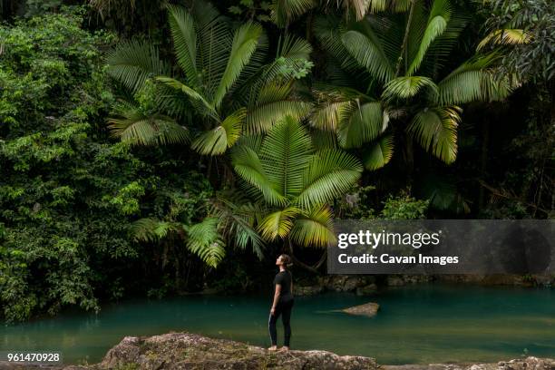 full length of woman standing on rocks at lakeshore against tree in el yunque national forest - puerto rico fotografías e imágenes de stock
