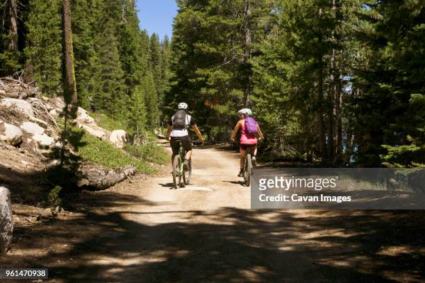 rear view of cyclists riding bicycles on mountain road in forest - nevada hiking stock pictures, royalty-free photos & images