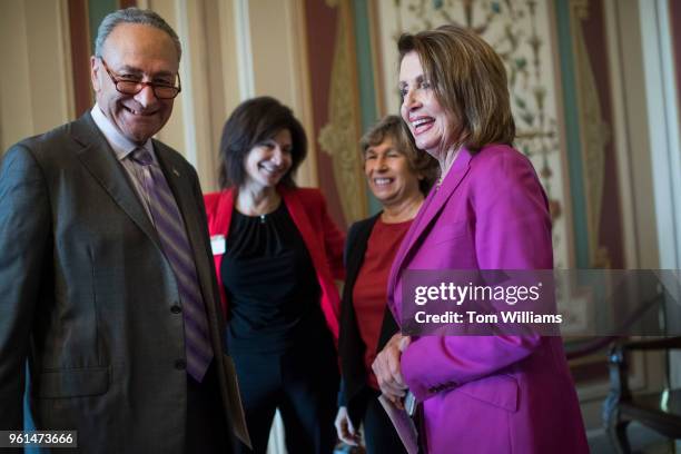 From left, Senate Minority Leader Charles Schumer, D-N.Y., Lily Eskelsen Garcia, president of the National Education Association, Randi Weingarten,...