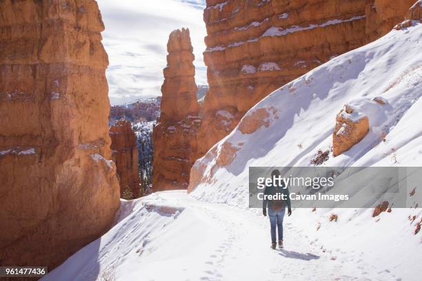 rear view of female hiker walking on snowcapped mountain amdist rock formations at bryce canyon national park - bryce canyon photos et images de collection