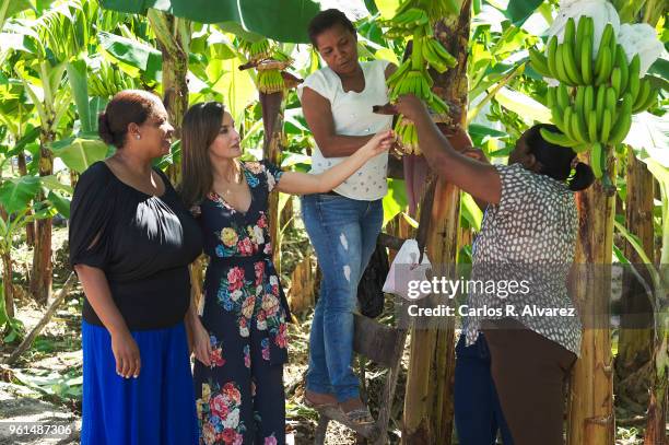 Queen Letizia of Spain visits a banana cooperative on May 22, 2018 in Azua, Dominican Republic. Queen Letizia of Spain is on a two day visit to...