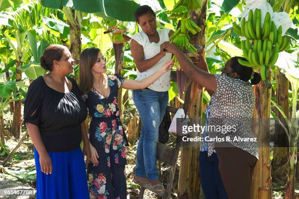 Queen Letizia of Spain visits a banana cooperative on May 22, 2018 in Azua, Dominican Republic. Queen Letizia of Spain is on a two day visit to...