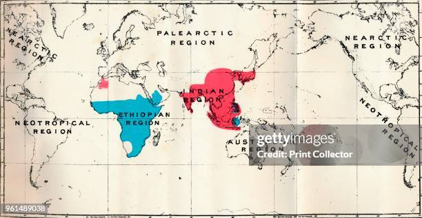 Range Map Semnopithecus A Z Map Photos and Premium High Res Pictures - Getty Images