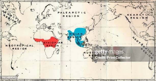 Range Map Semnopithecus 119 A Z Map Stock Photos, High-Res Pictures, and Images - Getty Images