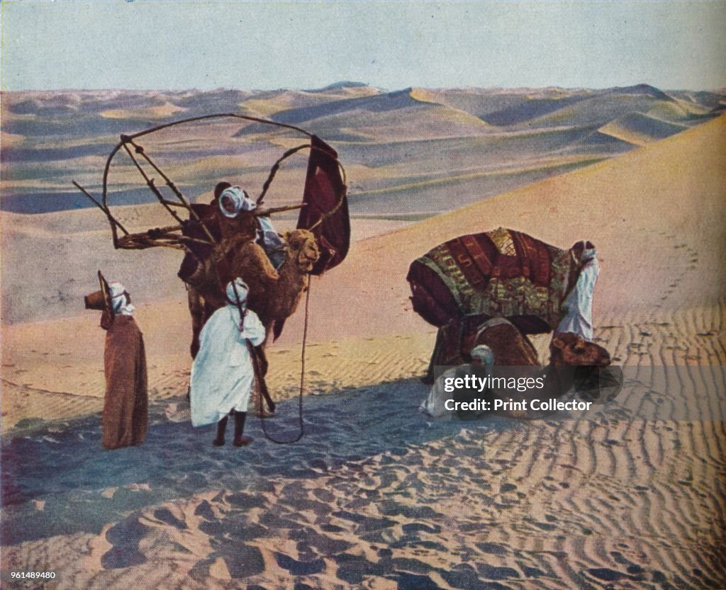 Sahara