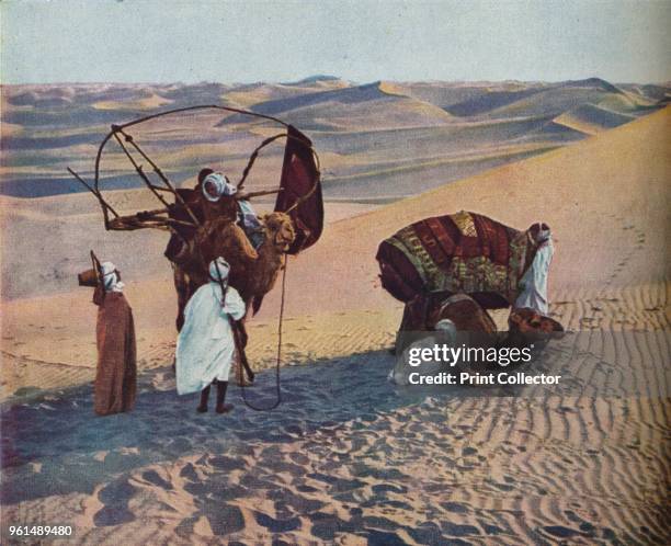 Sahara, News Photo