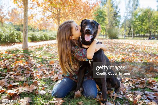 girl kissing black dog while sitting at park during autumn - nur mädchen stock-fotos und bilder