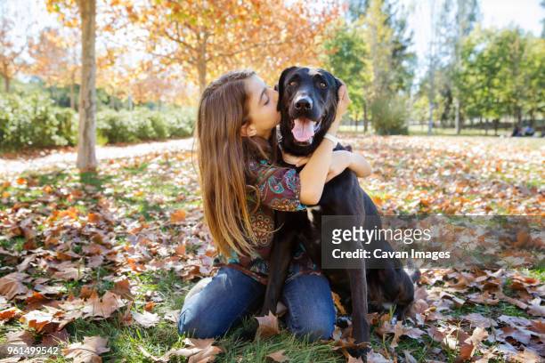 girl kissing black dog while sitting at park during autumn - only girls stock pictures, royalty-free photos & images