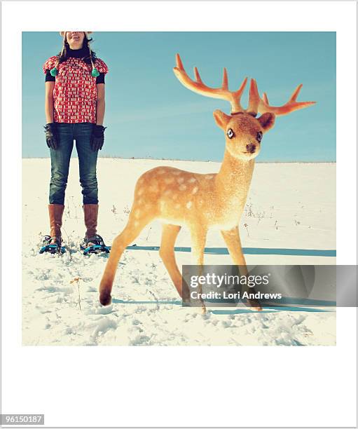 canadian woman with deer - lori pleasure stock pictures, royalty-free photos & images