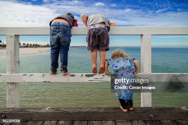 rear view of siblings looking at sea while standing on railing against sky - family holidays australia stock-fotos und bilder