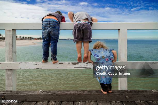rear view of siblings looking at sea while standing on railing against sky - family holidays australia stock pictures, royalty-free photos & images