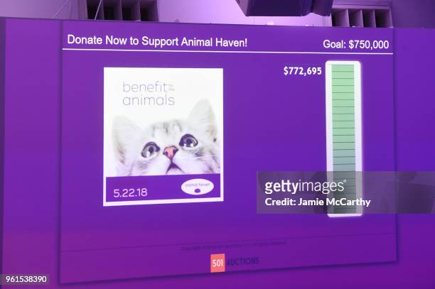 33 Animal Haven Gala 2018 Inside Photos and Premium High Res Pictures -  Getty Images