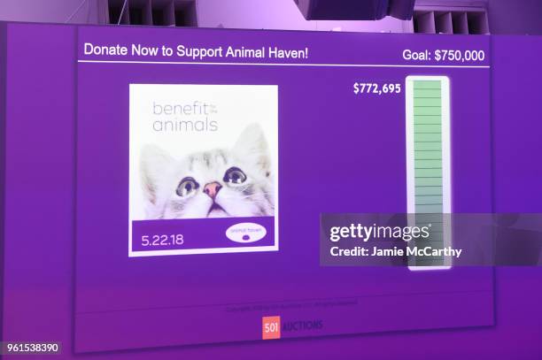 33 Animal Haven Gala 2018 Inside Photos and Premium High Res Pictures - Getty Images 33 Animal Haven Gala 2018 Inside Photos and Premium High Res Pictures - Getty Images