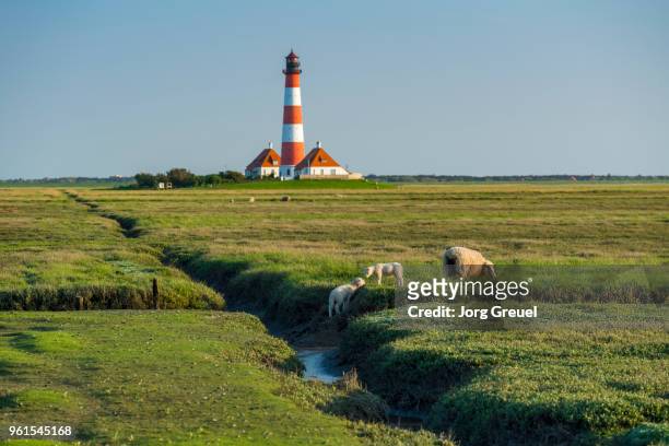 westerhever lighthouse at sunset - faro di westerhever foto e immagini stock