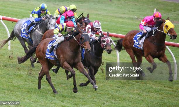 Mr Sinatra ridden by Damian Lane wins the Medical Edge BM64 Handicap at Sportsbet-Ballarat Racecourse on May 23, 2018 in Ballarat, Australia.