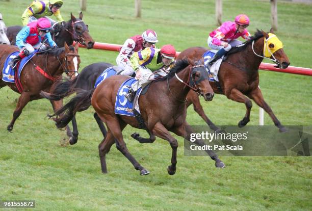 Mr Sinatra ridden by Damian Lane wins the Medical Edge BM64 Handicap at Sportsbet-Ballarat Racecourse on May 23, 2018 in Ballarat, Australia.