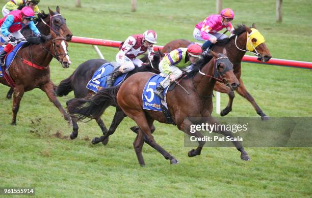 Mr Sinatra ridden by Damian Lane wins the Medical Edge BM64 Handicap at Sportsbet-Ballarat Racecourse on May 23, 2018 in Ballarat, Australia.