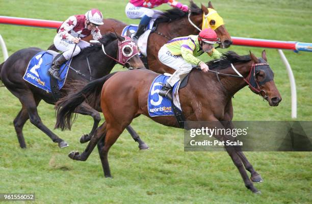 Mr Sinatra ridden by Damian Lane wins the Medical Edge BM64 Handicap at Sportsbet-Ballarat Racecourse on May 23, 2018 in Ballarat, Australia.