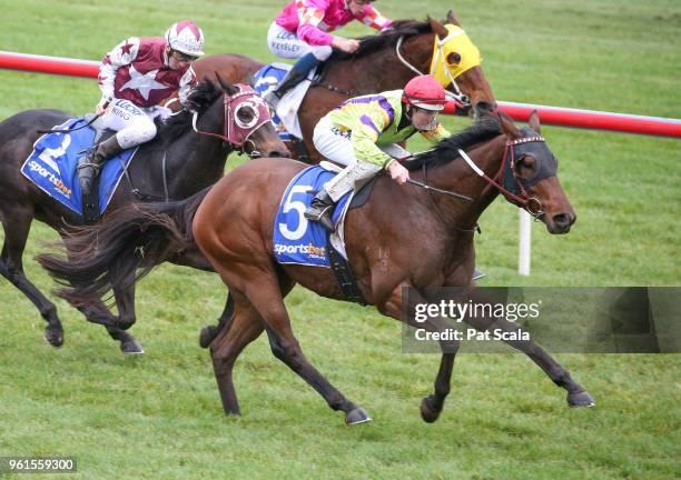 Mr Sinatra ridden by Damian Lane wins the Medical Edge BM64 Handicap at Sportsbet-Ballarat Racecourse on May 23, 2018 in Ballarat, Australia.