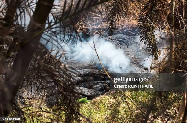 Steam and sulphurous gas from Fissure of the Kilauea volcano are seen at Leilani Estates subdivision in Pahoa, Hawaii on May 22, 2018. - Authorities...