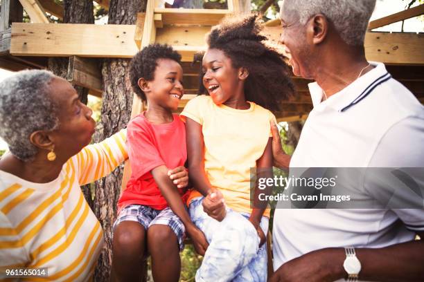 happy grandparents and grandchildren on tree house - step brother stock pictures, royalty-free photos & images