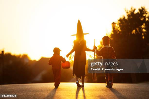 rear view of family in costume walking on road - charmeur photos et images de collection