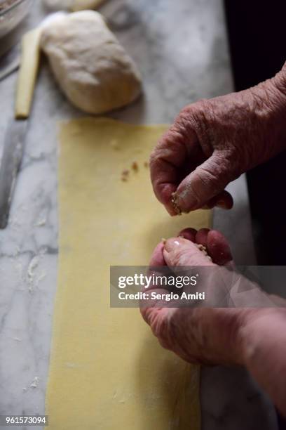 adding small amounts of stuffing in a row on a fresh pasta sheet to make tortellini - lodi lombardy stock pictures, royalty-free photos & images