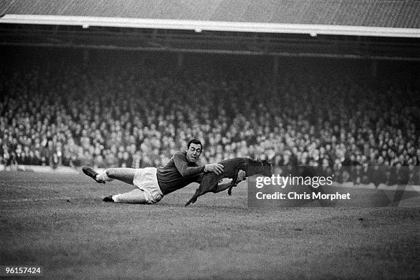 Gordon Banks, Leicester City goalkeeper, saving a dog during a match against Manchester United at Filbert Street, Leicester, 13th November 1965.