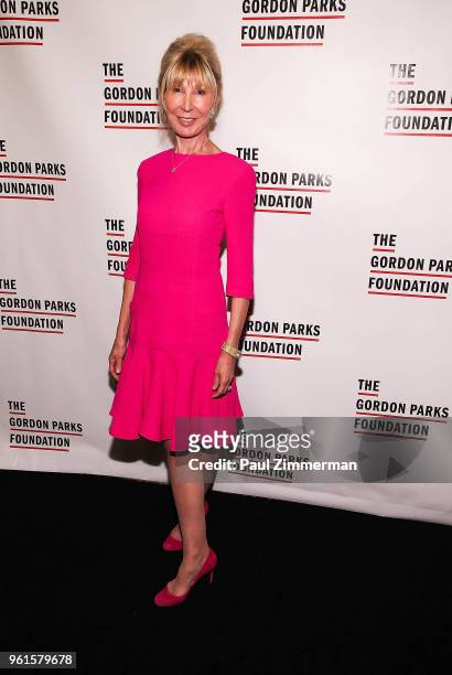 Diana Revson attends the 2018 Gordon Parks Foundation Gala at Cipriani 42nd Street on May 22, 2018 in New York City.