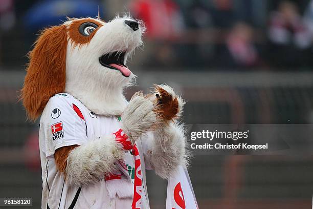 Mascot Underdog of Oberhausen pose prior to the Second Bundesliga match between RW Oberhausen and FC Augsburg at the Niederrhein Stadium on January...