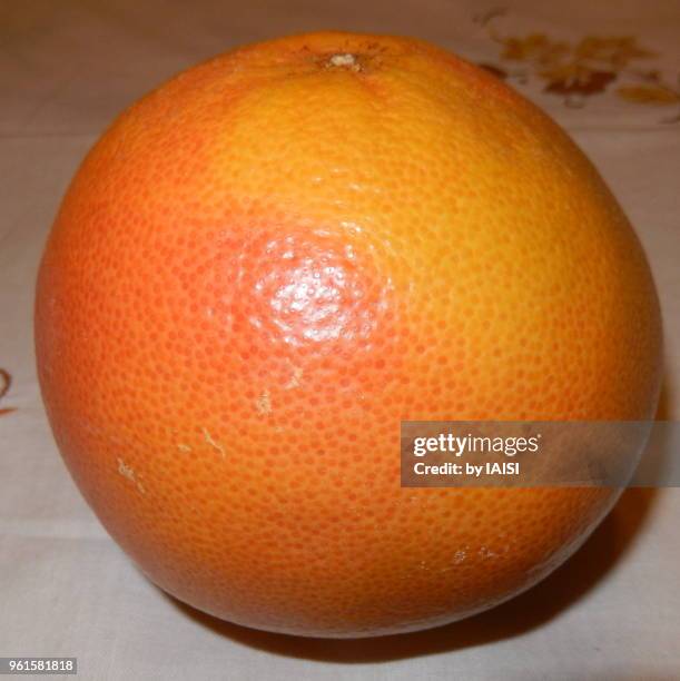 a pink grapefruit, close-up - sharon plain stock pictures, royalty-free photos & images