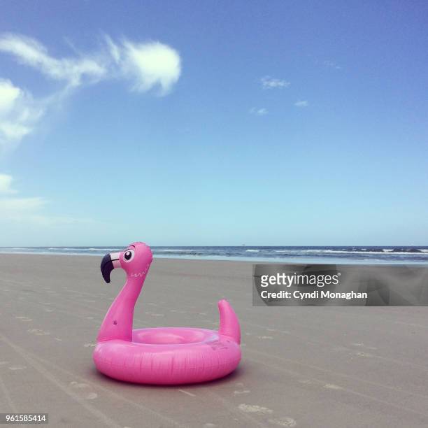 inflatable pink flamingo swimming inner tube - rubber band stockfoto's en -beelden