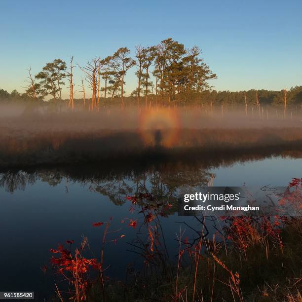 a glory or optical phenomenon around a person's shadow - insel chincoteague island stock-fotos und bilder